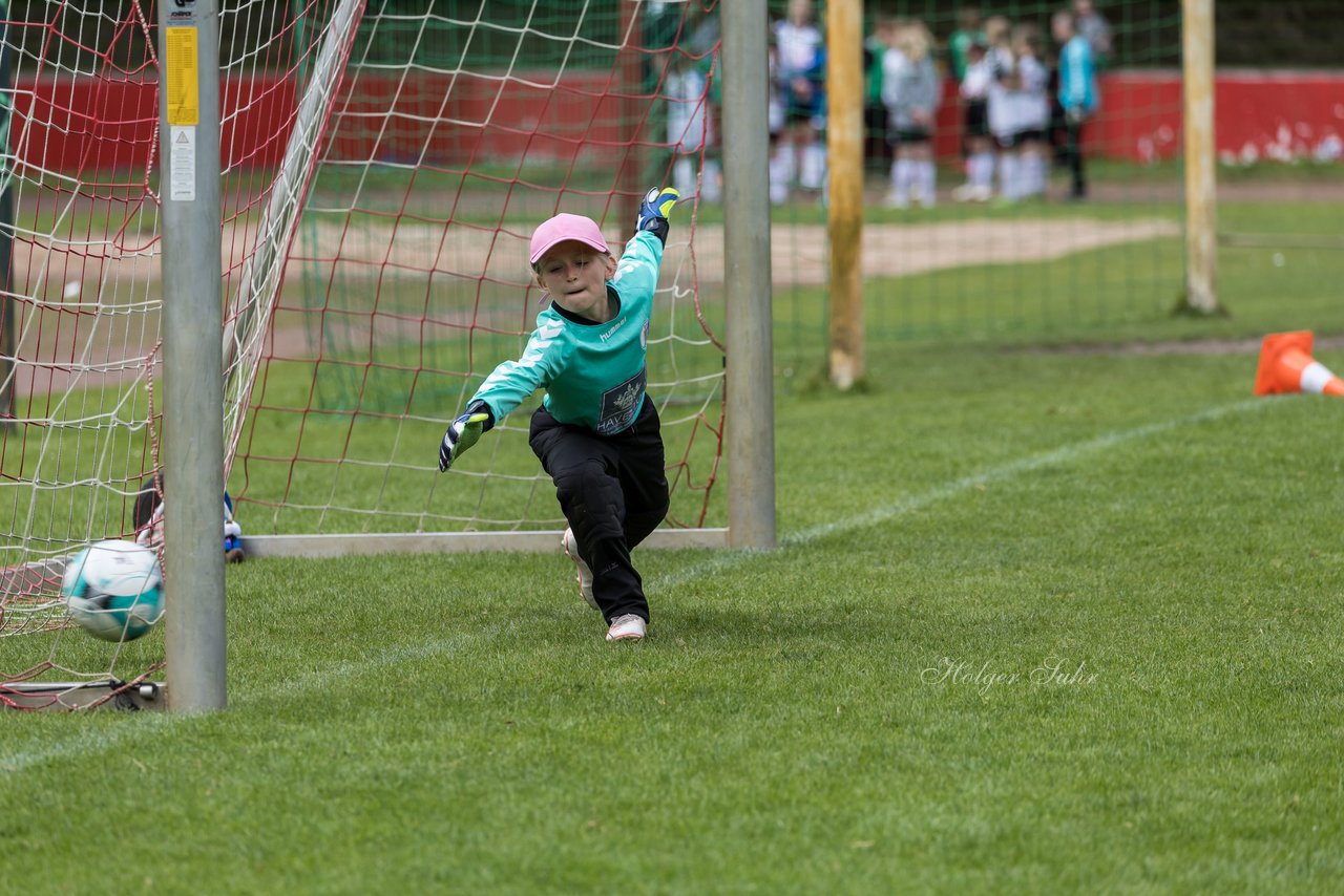 Bild 666 - Loewinnen Cup